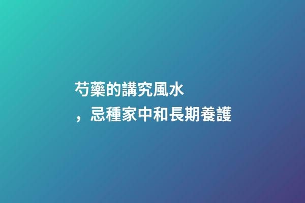 芍藥的講究風水，忌種家中和長期養護